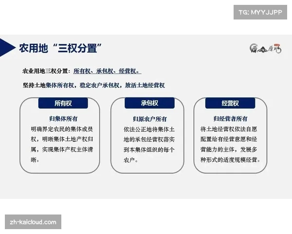 土超裁判职业化进程 全职裁判制度推进情况
